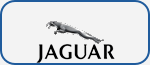 Logo jaguar